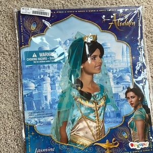 Disney Aladdin movie- Jasmine Disney costume